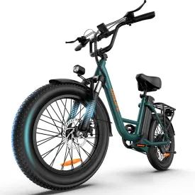 Electric Bike for Adults, 1000W Peak Motor Ebike, 48V 13Ah Removable Battery, 80 Miles Max, 20" x 3.0 Fat Tire Electric Bicycle with Colorful Display, All-Terrain E-Bike for Adults and Teens